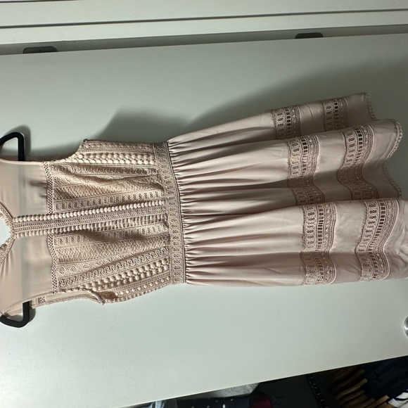 All Saints Rowy Lace Blush Pink Dress - Picture 10 of 10